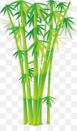 260x440 Bamboo Vector Png Amp Bamboo Vector Transparent Clipart Free