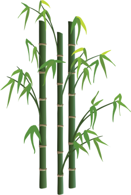 270x400 Bamboo Tree Png