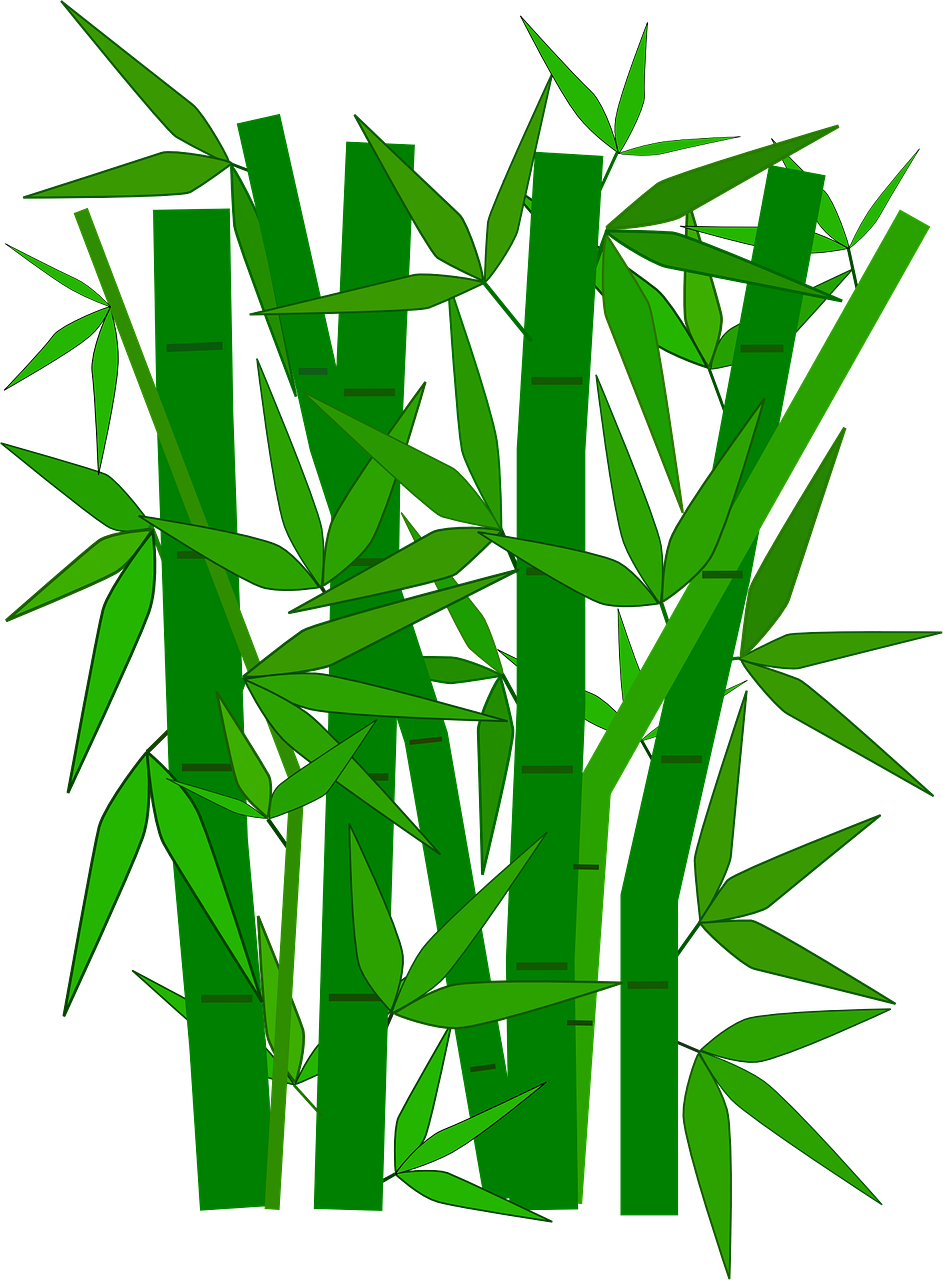 943x1280 Collection Of Free Bamboo Vector Japan. Download On Ubisafe