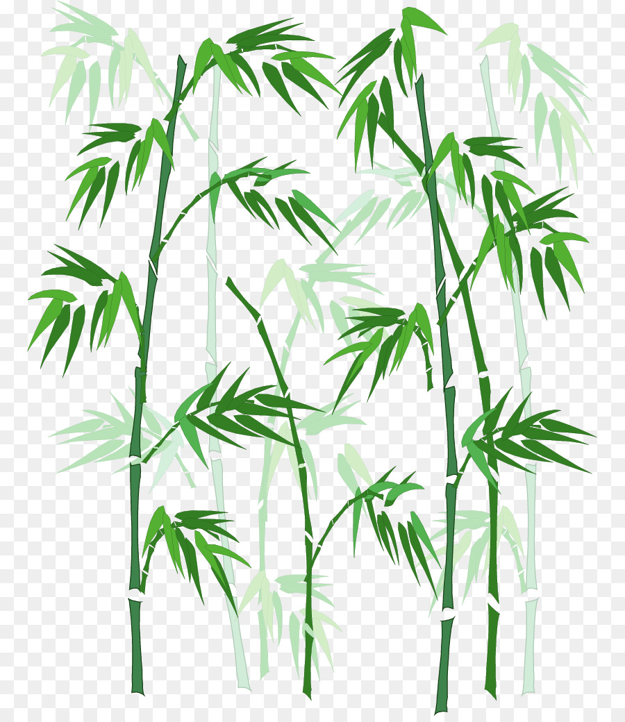 900x1040 Download Bamboo Vector Hand Painted Bamboo
