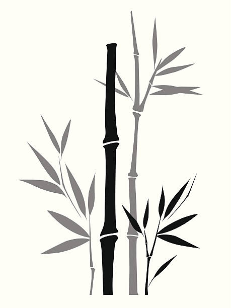 459x612 Drawn Bamboo Vector Free Collection Download And Share Drawn