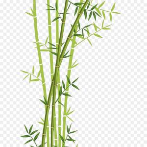 300x300 Png Wall Decal Sticker Tropical Woody Bamboos Bamboo V Arenawp