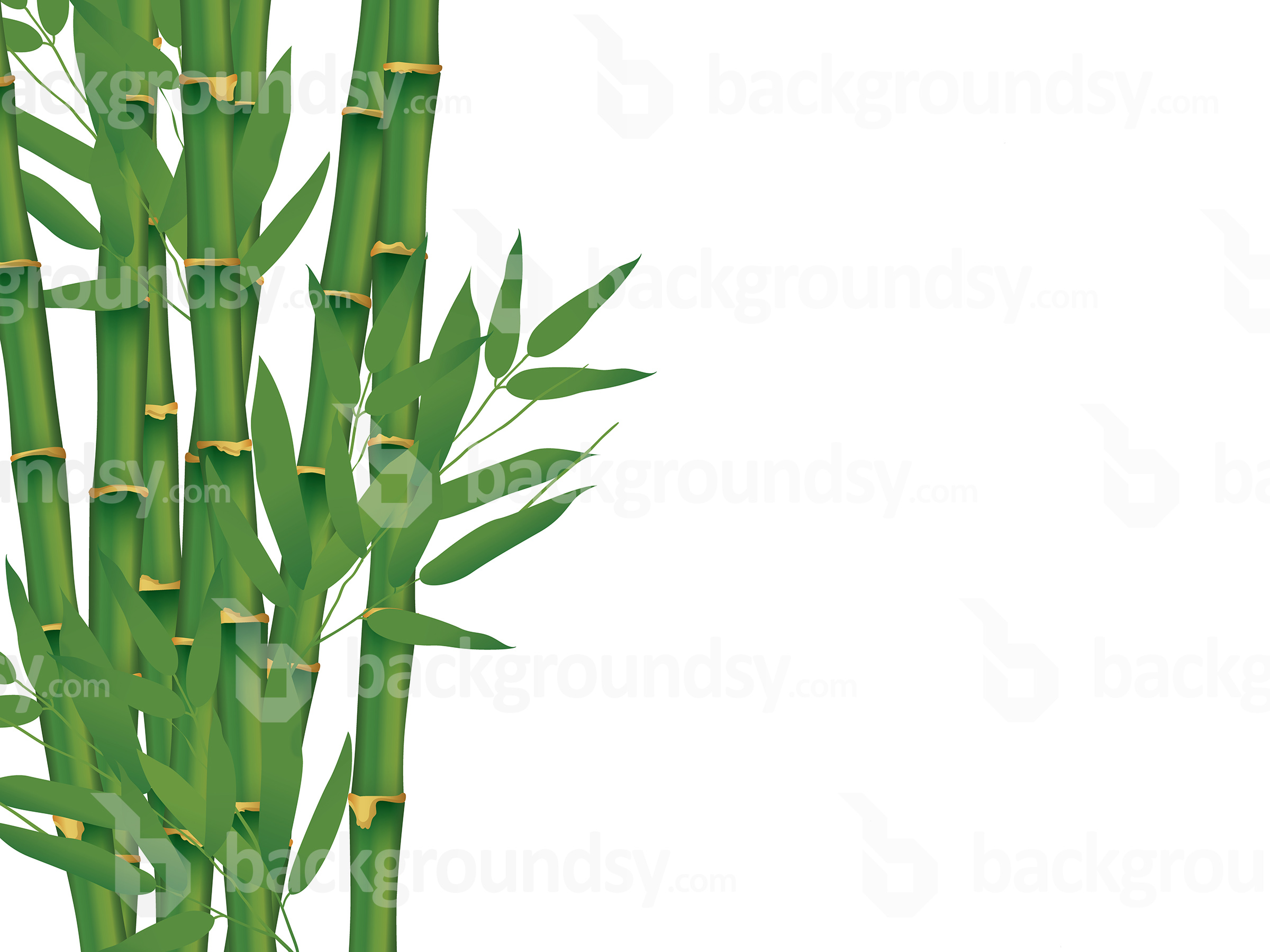 2400x1800 Vector Bamboo Isolated