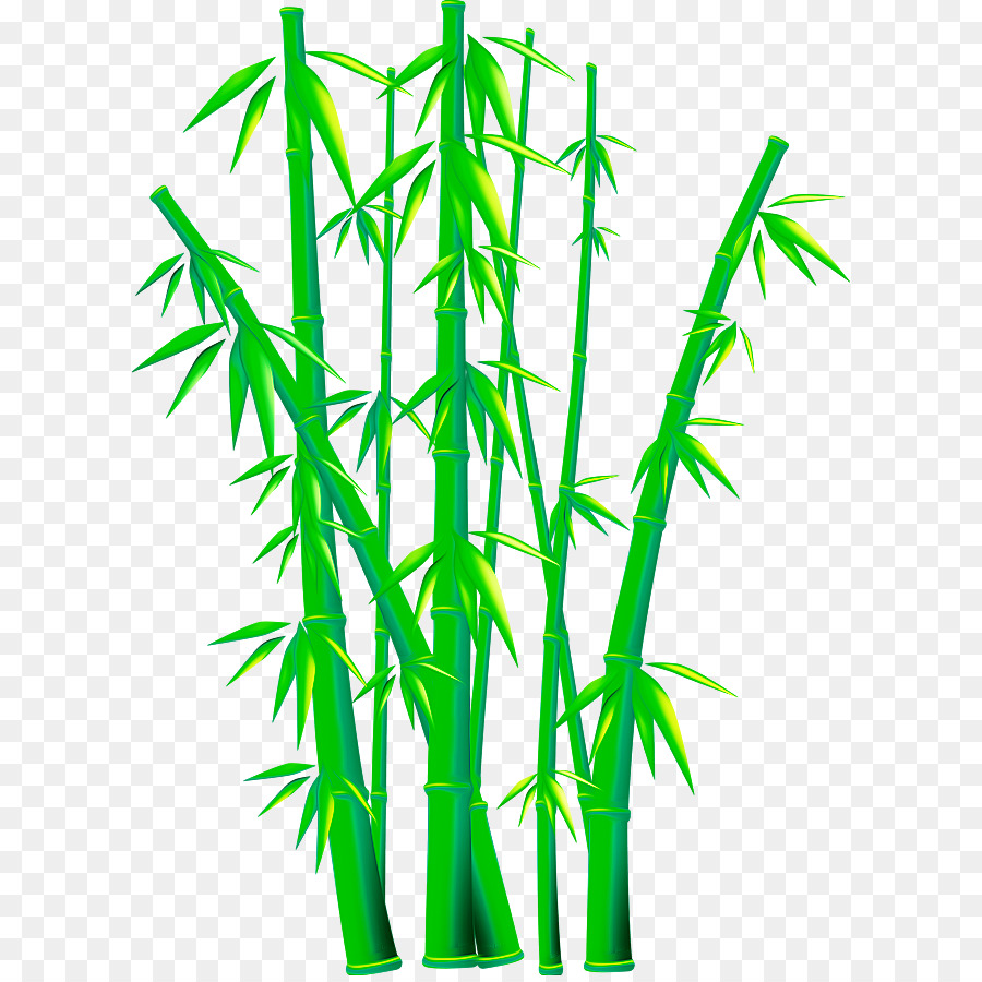 900x900 Bamboo Euclidean Vector Clip Art