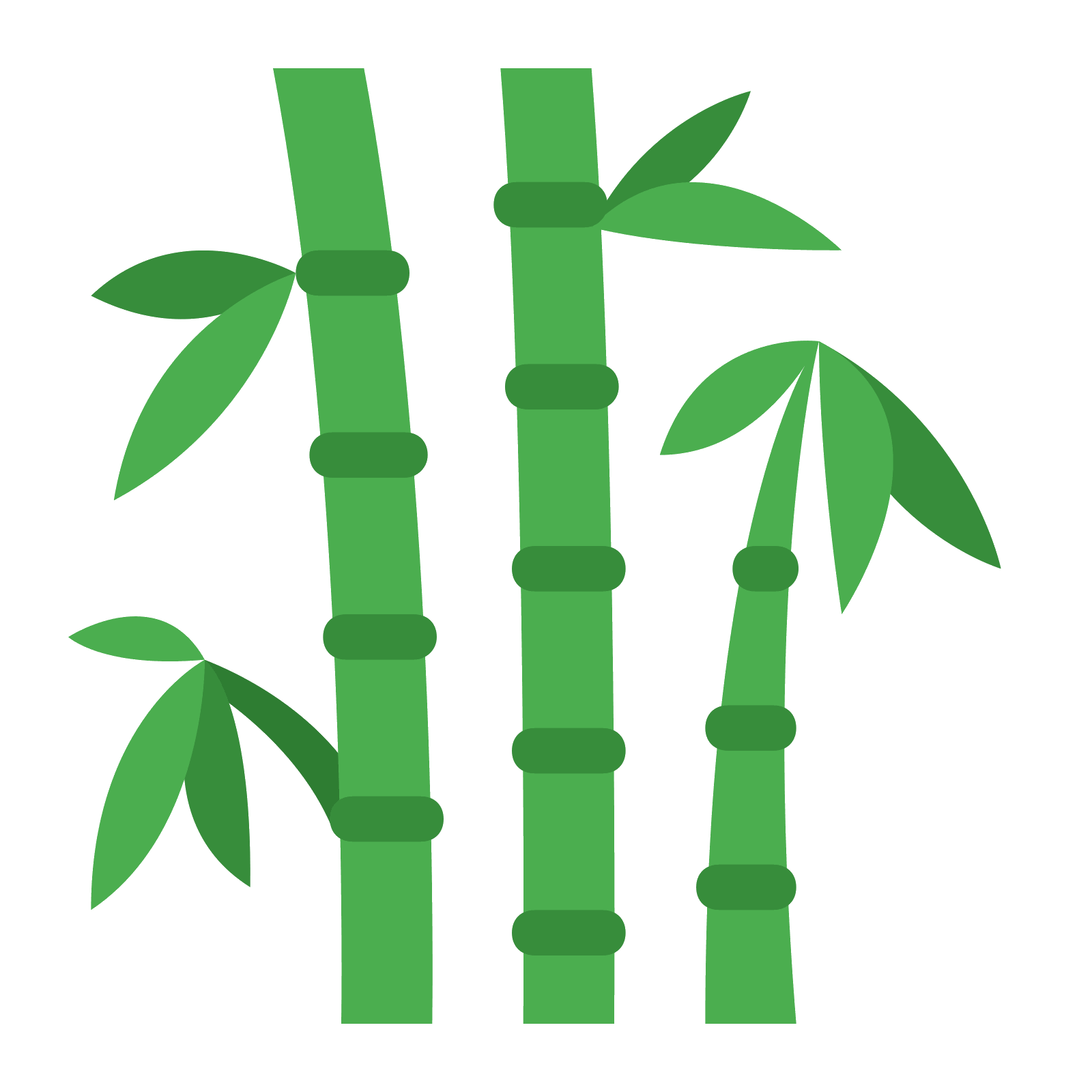 1600x1600 Bamboo Icon