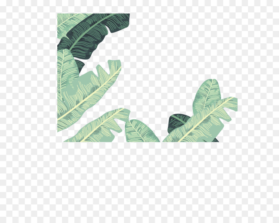 900x720 Banana Leaf Euclidean Vector