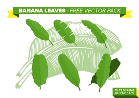 285x200 Banana Leaves Vector Free Vector Graphic Art Free Download (Found