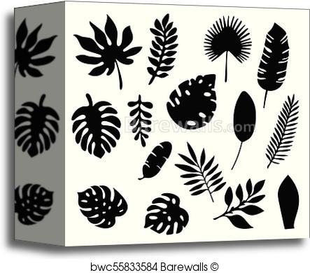 443x390 Canvas Print Of Palm Leaves Silhouettes Set Isolated On White