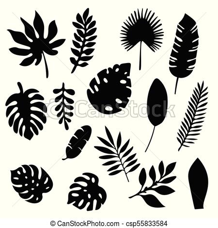 450x470 Palm Leaves Silhouettes Set Isolated On White Background. Tropical