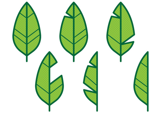 632x443 Banana Leaf Icon Free Vector Download 346327 Cannypic
