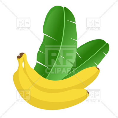 400x400 Banana Fruit With Banana Palm Leaves Vector Image Vector Artwork