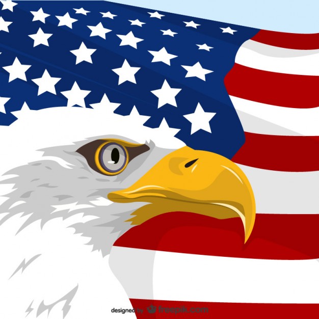 626x626 American Eagle And Usa Flag Vector Free Download