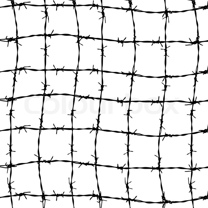 800x800 Fence From Barbed Wires Isolated On White Background Stock