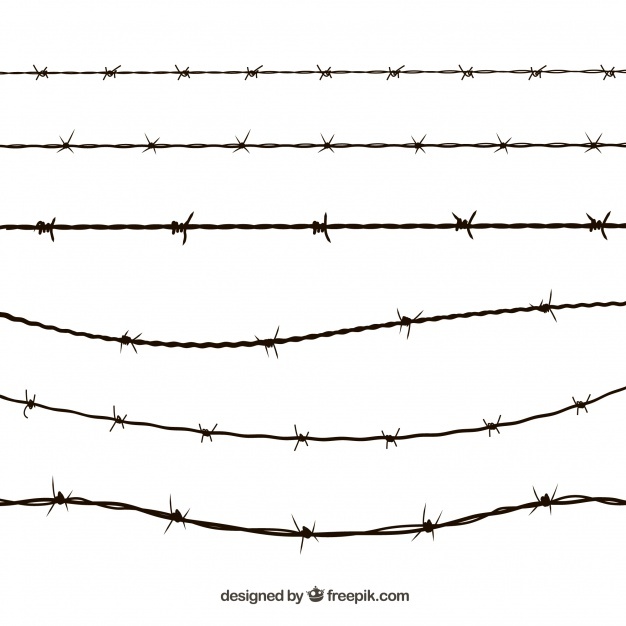 626x626 Barbed Wire Fence Vectors, Photos And Psd Files Free Download