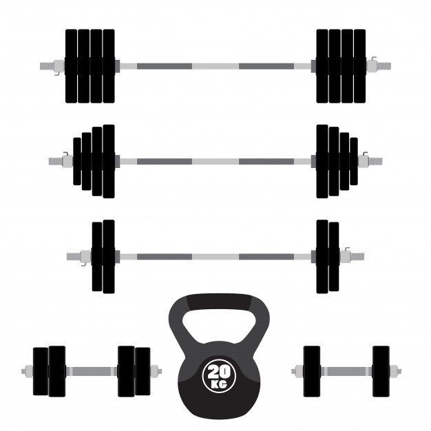 626x626 Barbell Vectors, Photos And Psd Files Free Download