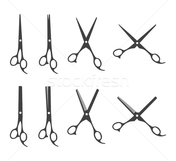 600x549 Professional Barber Scissors Vector Illustration Oleksii