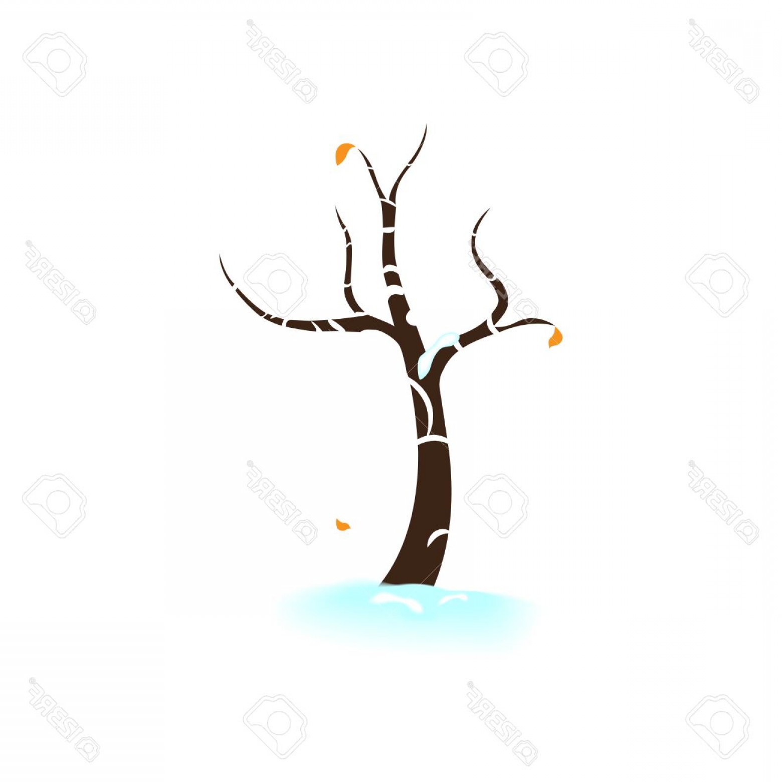 1560x1560 Photostock Vector Isolated On White Background Winter Bare Tree