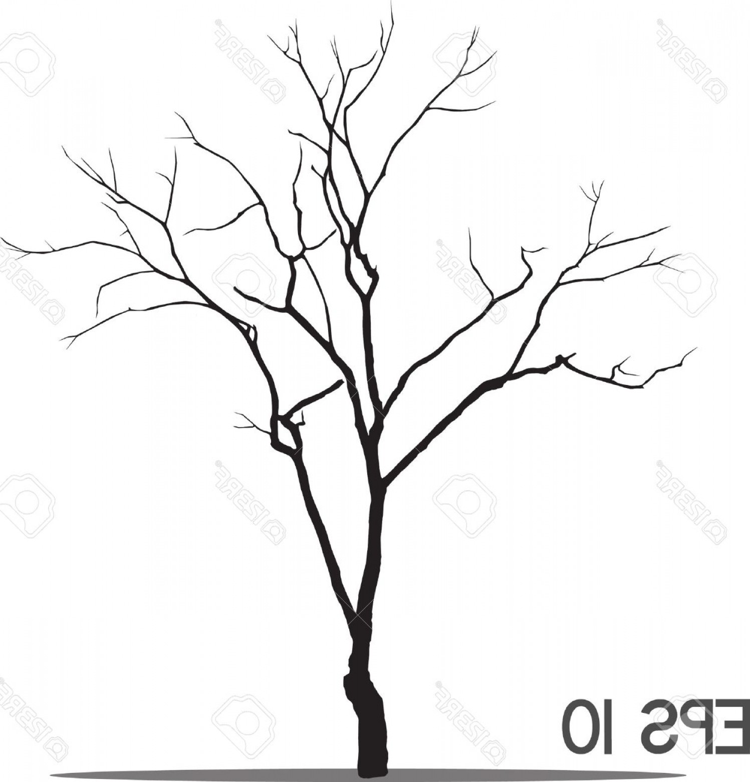 1497x1560 Photovector Black Silhouette Of A Bare Tree Orangiausa