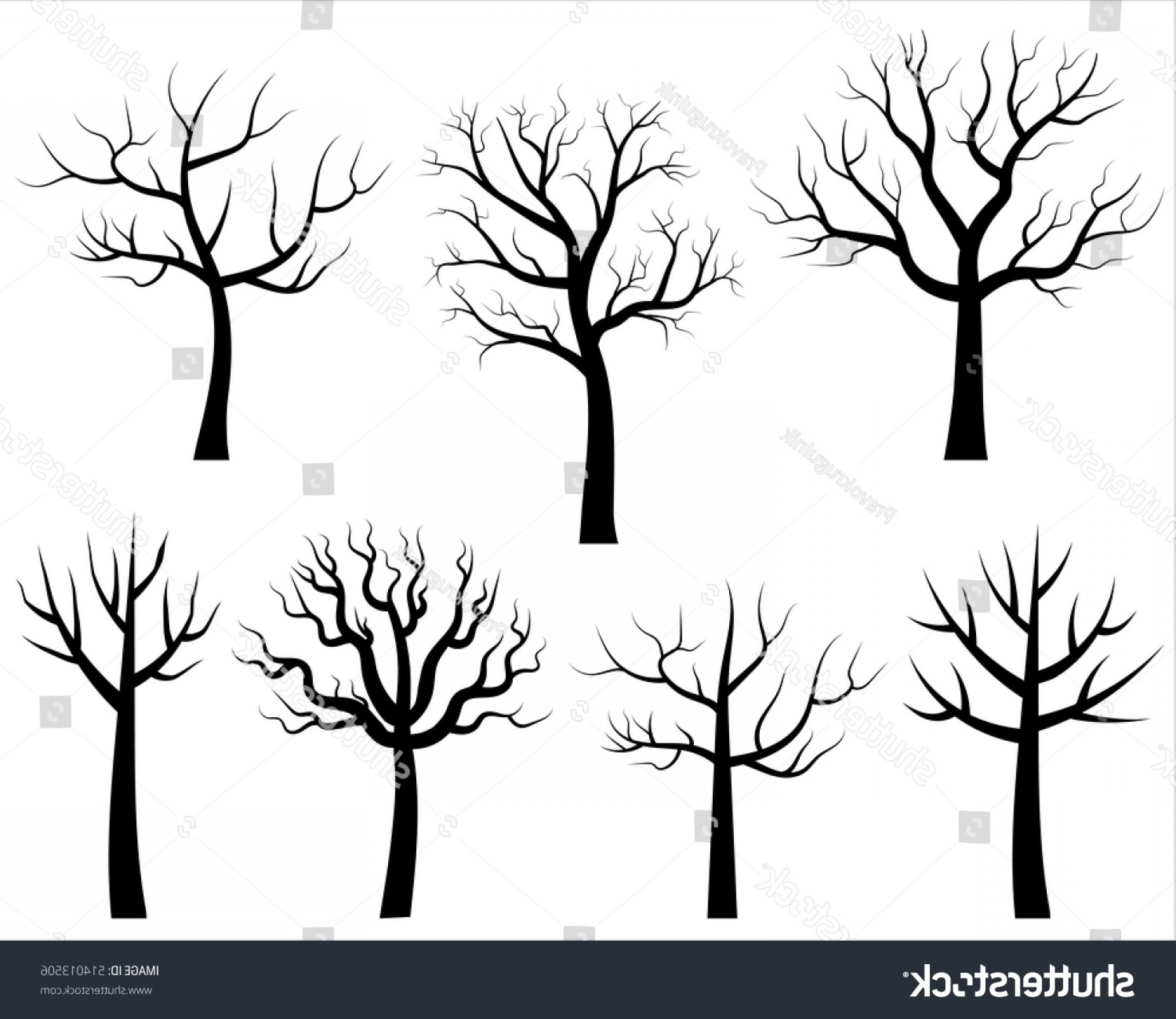1800x1560 Vector Bare Tree Silhouettes Black Stylized Lazttweet