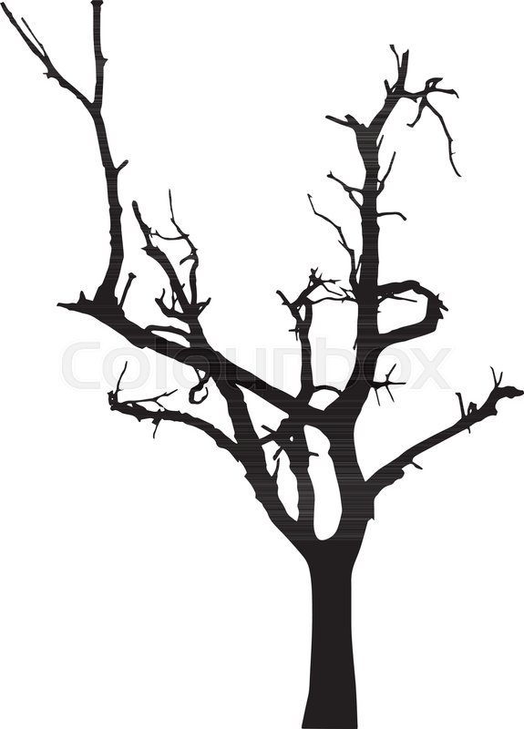 575x800 Vector Black Silhouette Of A Bare Tree Stock Vector Colourbox