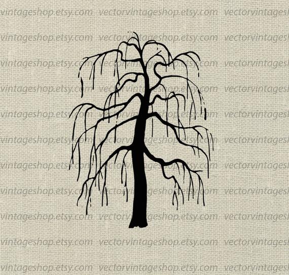 570x544 Weeping Willow Tree Vector Clipart Bare Tree Silhouette Clip Etsy