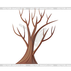 300x300 Bare Tree Without Leaves. Oak