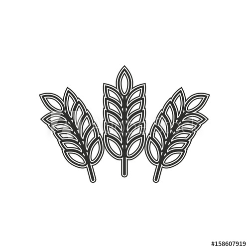 500x500 Barley Vector Icon.