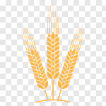 150x150 Slipart Wheat Cereal Plant Barley Vector Crop Vector Cut Out
