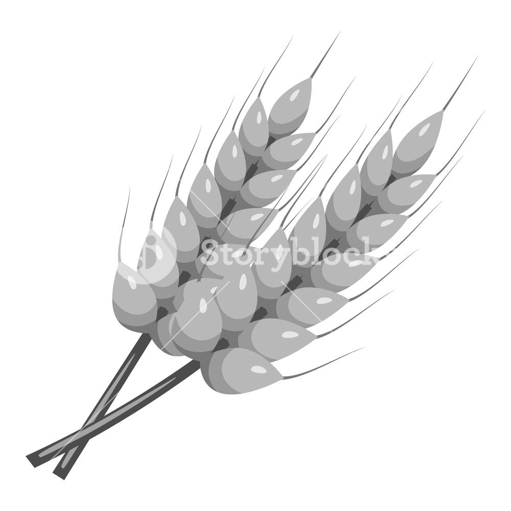 1000x1000 Stalks Of Barley Icon. Gray Monochrome Illustration Of Stalks Of