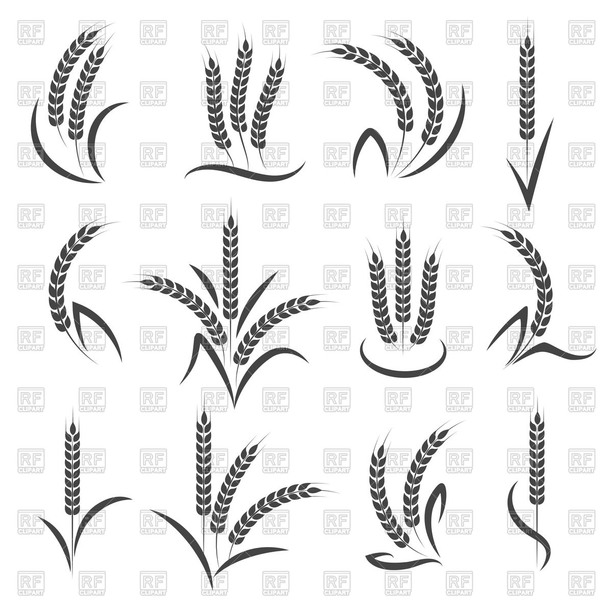 1200x1200 Wheat Or Barley Ears Branch Vector Image Vector Artwork Of