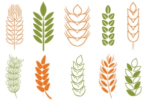 285x200 Barley Stalk Free Vector Graphic Art Free Download (Found 237
