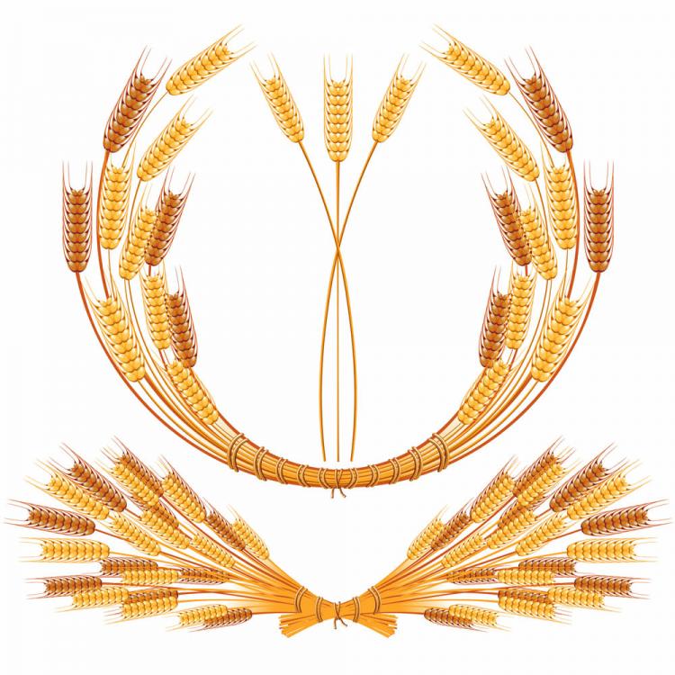 750x750 Vector Free Vectors Download 4vector