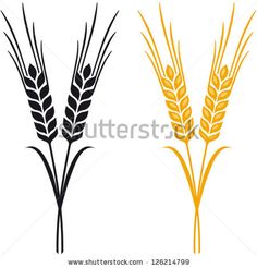 236x246 Vector Wheat Wheat Free Vectors Download 4vector Paper