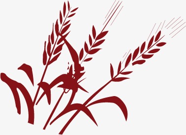 378x274 Wheat, Barley Png And Vector For Free Download