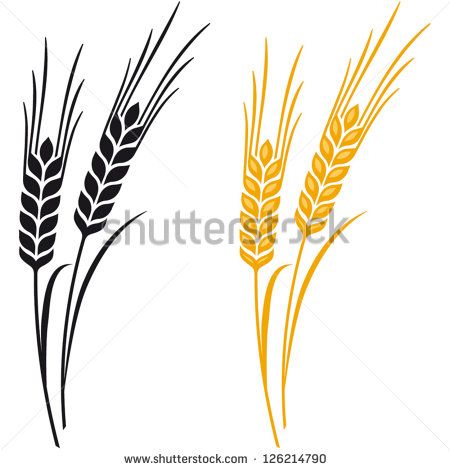 450x470 Wheat Graphic Border