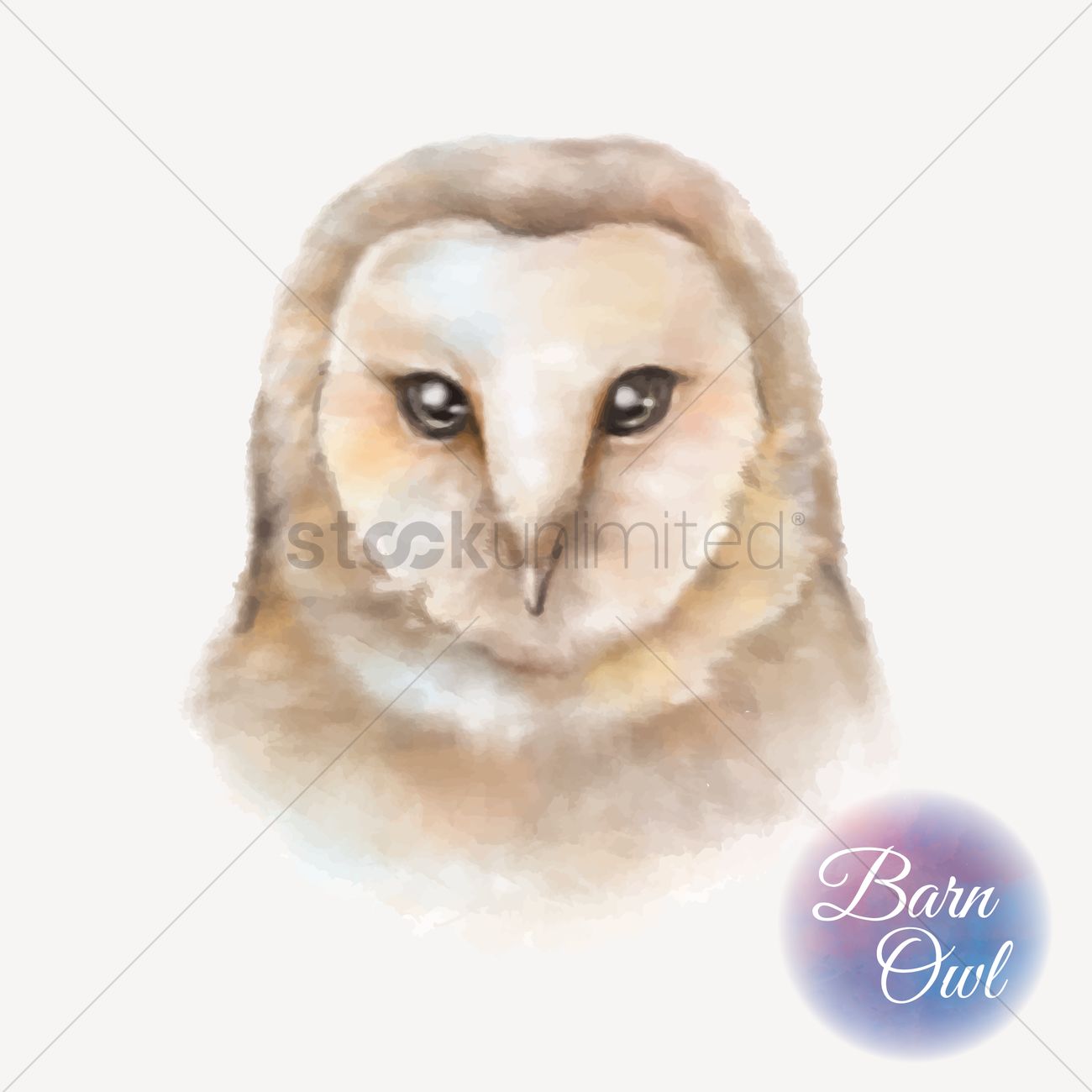1300x1300 Barn Owl Vector Image