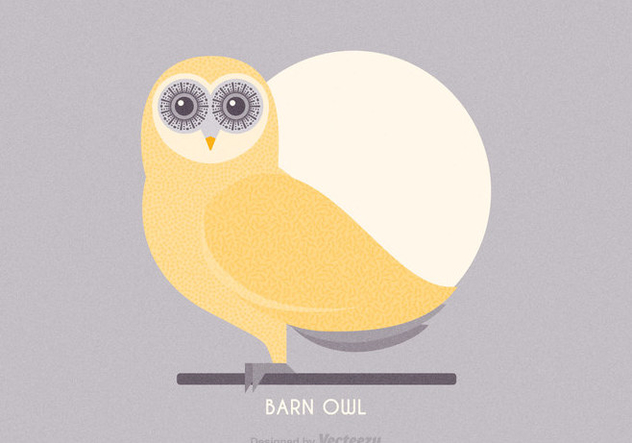 632x443 Free Barn Owl Vector Illustration Free Vector Download 303913