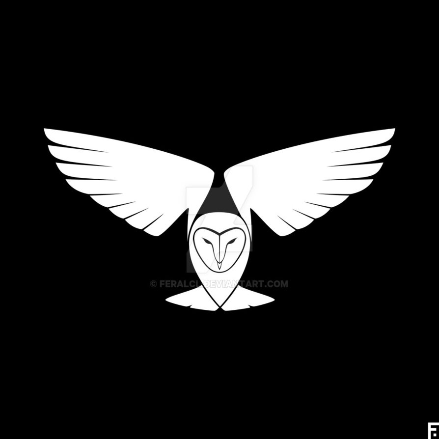 894x894 Lechuza Comun Barn Owl By Feralcl