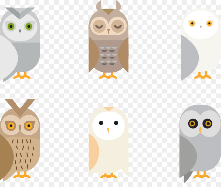 900x760 Barn Owl Giant Panda Bird