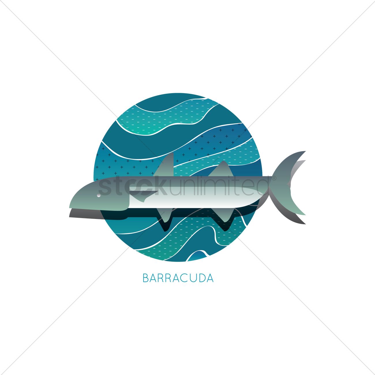 1300x1300 Barracuda Vector Image