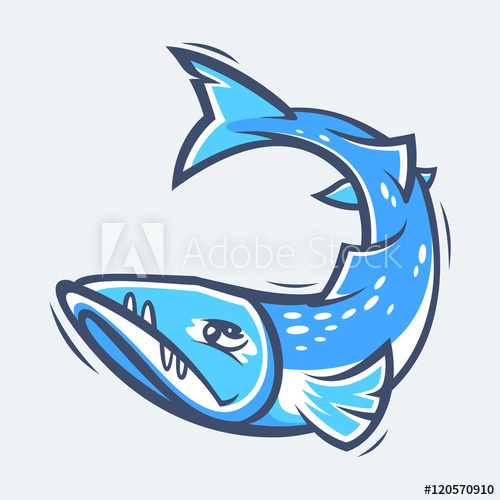 500x500 Barracuda Sea Life Vector Illustration