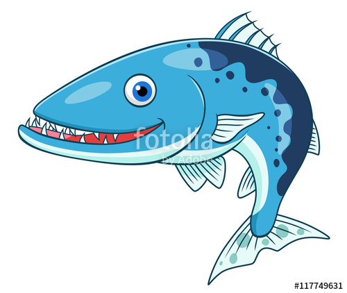 500x422 Cartoon Barracuda Stock Image And Royalty Free Vector Files On