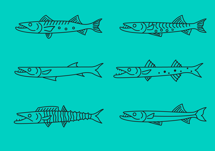 700x490 Free Barracuda Vector