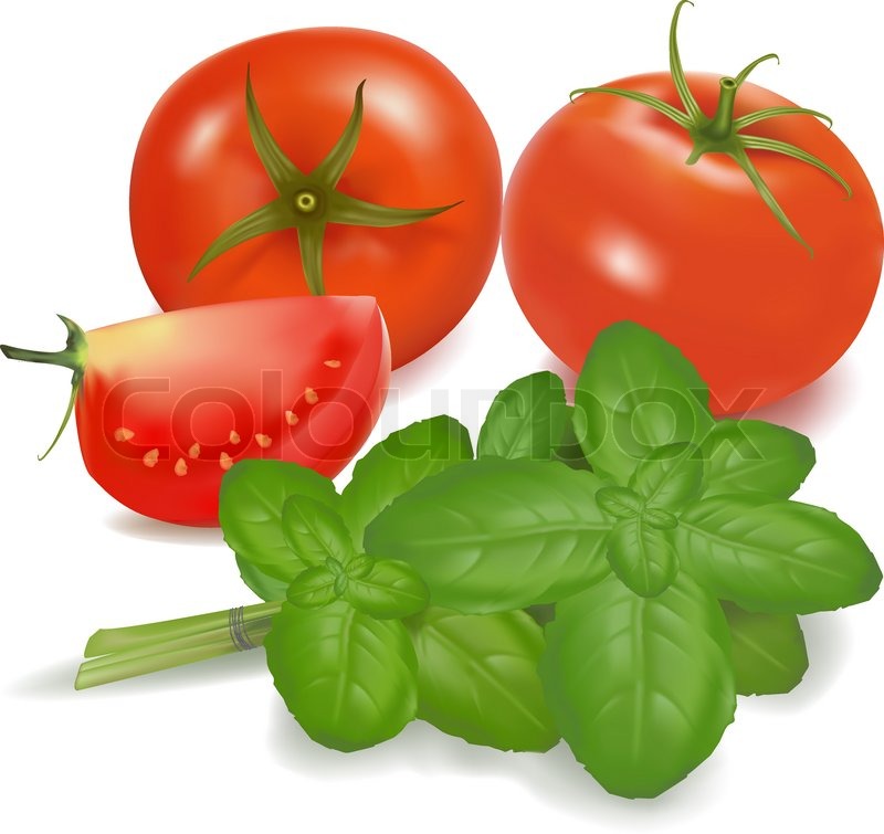 800x755 Tomatoes And Basil Leaf Isolated On On White Background. Photo