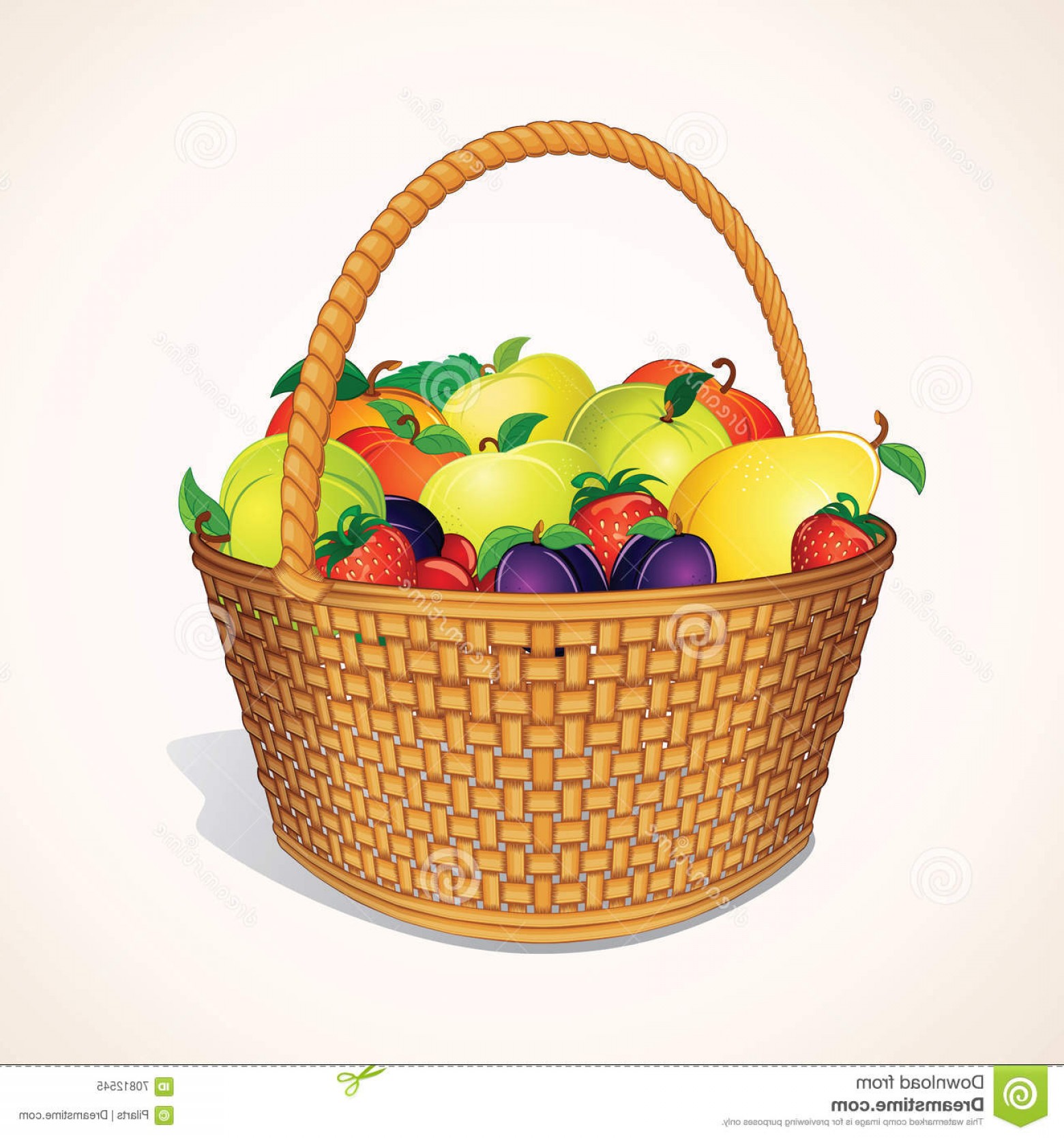 1560x1668 Stock Illustration Organic Garden Fruits Basket Vector Orchand
