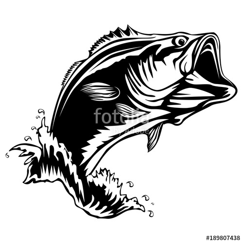 500x500 New Bass Fishing Isolated Stock Image And Royalty Free Vector