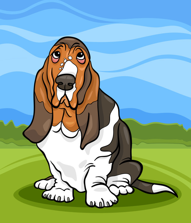 625x731 Basset Hound Dog Cartoon Illustration Vector Premium Download