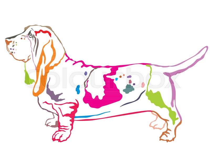 800x600 Colorful Contour Decorative Portrait Of Standing In Profile Dog