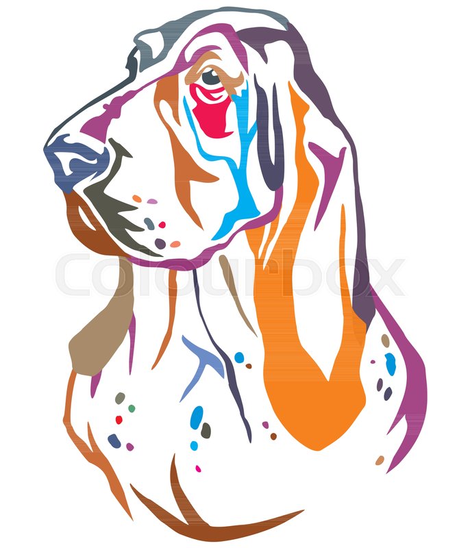 686x800 Colorful Decorative Portrait In Profile Of Dog Basset Hound