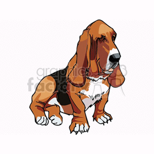 300x300 Royalty Free Black Brown And White Basset Hound 131722 Vector Clip